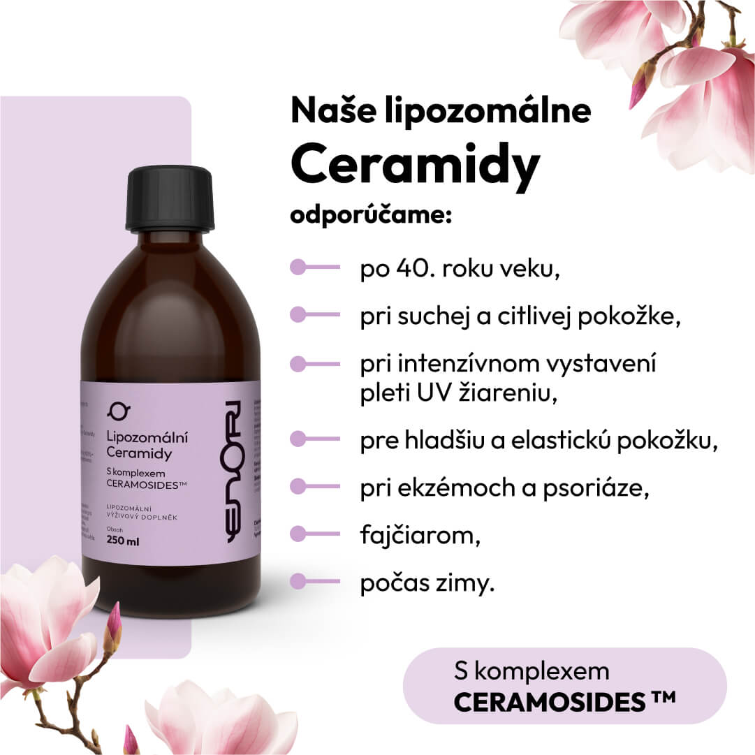 Ceramidy