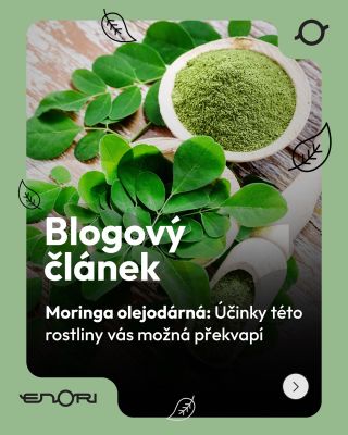 🌿 Moringa olejodárná –> rostlina, která zvládne přežít i tam, kde většina jiných rostlin uschne. Její listy se po staletí...
